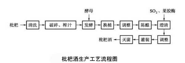 枇杷酒生產工藝流程圖